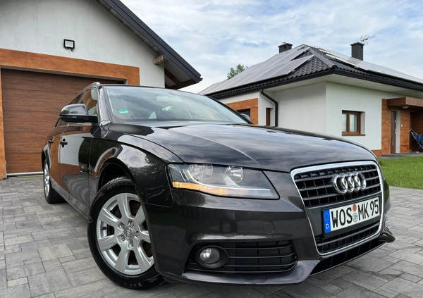 Audi A4 cena 24900 przebieg: 222534, rok produkcji 2008 z Otmuchów małe 781